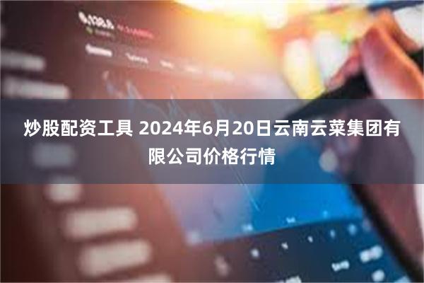 炒股配资工具 2024年6月20日云南云菜集团有限公司价格行情