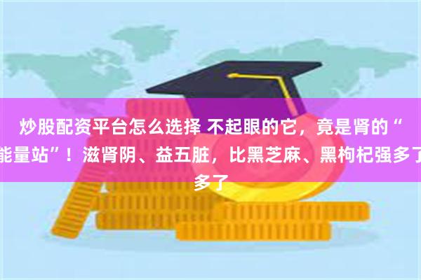 炒股配资平台怎么选择 不起眼的它，竟是肾的“能量站”！滋肾阴、益五脏，比黑芝麻、黑枸杞强多了