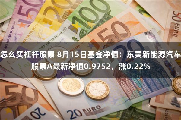 怎么买杠杆股票 8月15日基金净值：东吴新能源汽车股票A最新净值0.9752，涨0.22%