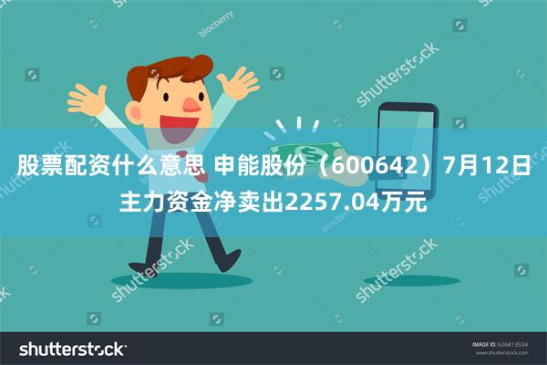 股票配资什么意思 申能股份（600642）7月12日主力资金净卖出2257.04万元