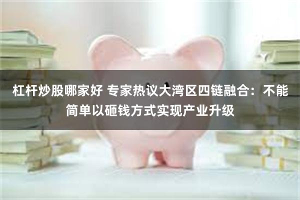 杠杆炒股哪家好 专家热议大湾区四链融合：不能简单以砸钱方式实现产业升级