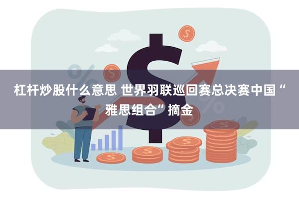 杠杆炒股什么意思 世界羽联巡回赛总决赛中国“雅思组合”摘金