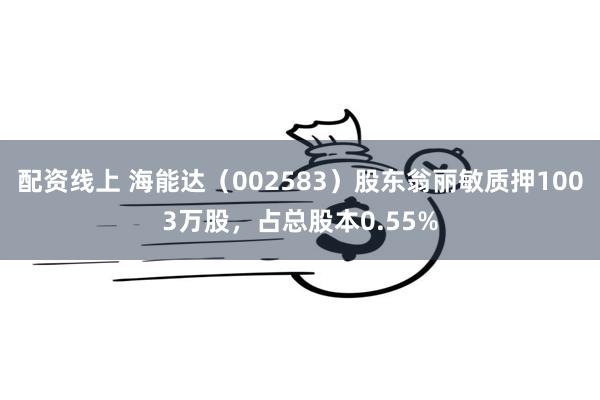 配资线上 海能达（002583）股东翁丽敏质押1003万股，占总股本0.55%