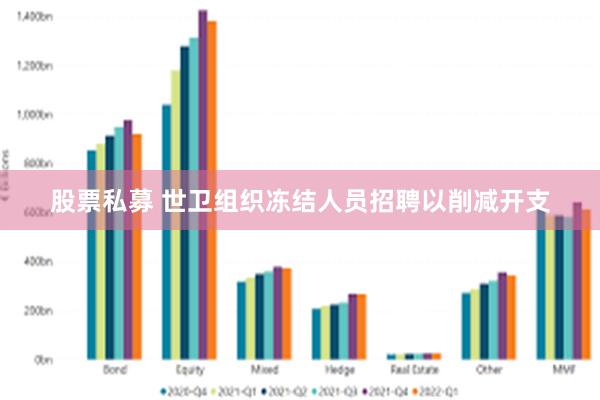 股票私募 世卫组织冻结人员招聘以削减开支